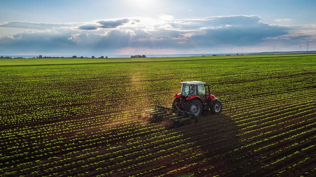 Aumentan los derechos de exportación para soja y maíz a partir de julio