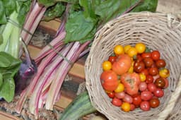 Feria Agroecológica Itinerante en La Plata: Música, Talleres y Sostenibilidad para Todas las Edades