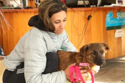 Jornadas gratuitas de vacunación antirrábica y castración en Tolosa