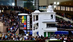Fin de semana cultural en el Hipódromo de La Plata: milonga, visitas guiadas y más actividades gratuitas