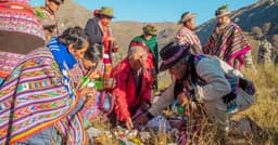 Conmemorando el Día de la Pachamama: el poder ancestral de la caña con ruda