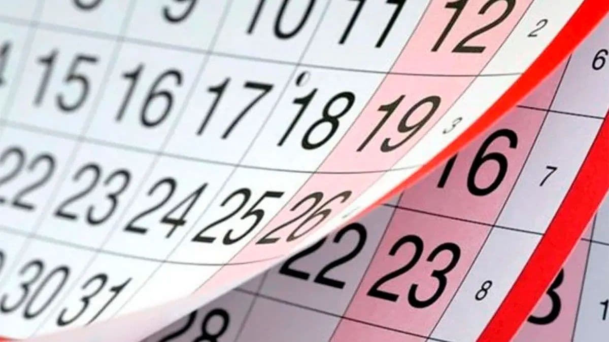 Nuevo fin de semana largo: oficializan feriado el 10 de octubre