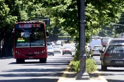 Transporte Público Gratis en La Plata para Facilitar el Voto en Elecciones 2025