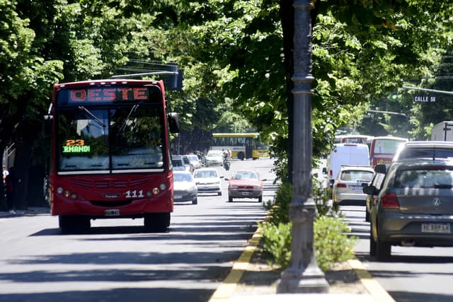 Transporte Público Gratis en La Plata para Facilitar el Voto en Elecciones 2025